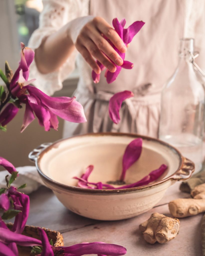 Steeping magnolia blooms to make syrup