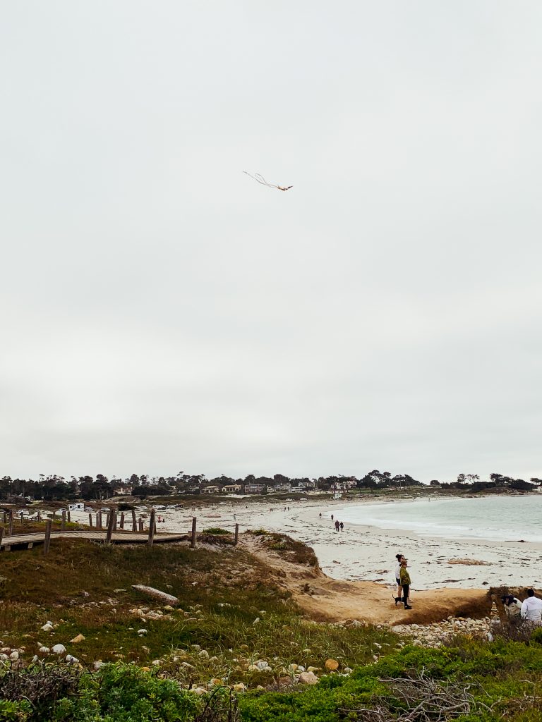 Spanish Bay in Monterey: Carmel by the sea Travel Guide